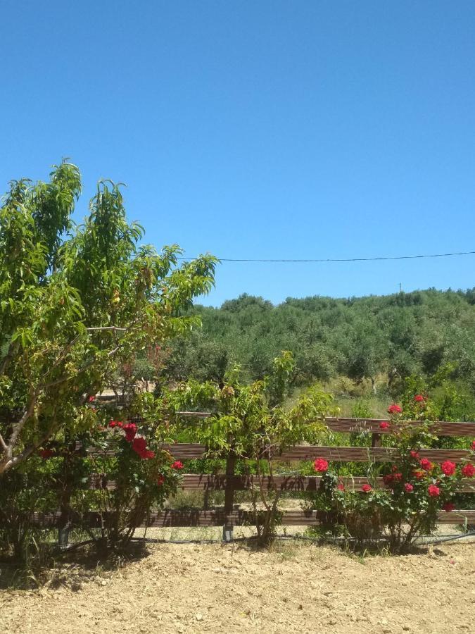 Skalanion Eden Garden Villa Near Knossos מראה חיצוני תמונה