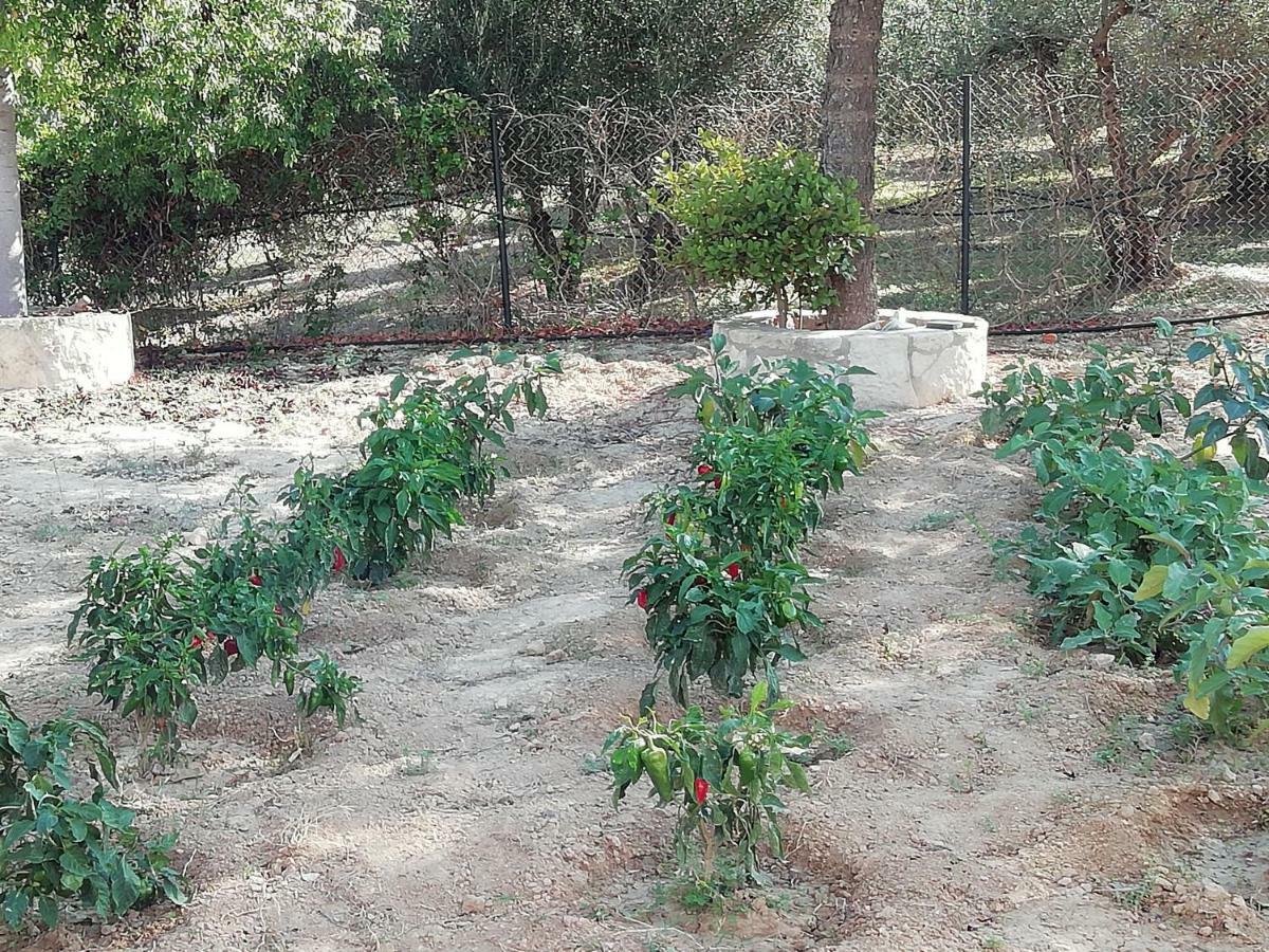 Skalanion Eden Garden Villa Near Knossos מראה חיצוני תמונה