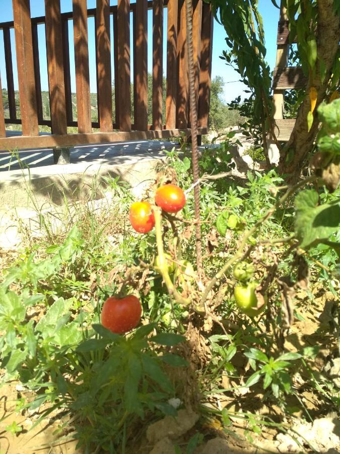 Skalanion Eden Garden Villa Near Knossos מראה חיצוני תמונה